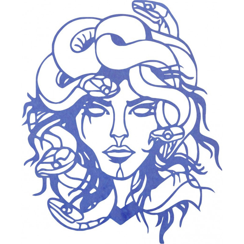 The image on the wall msdúza woman - MEDUSA...