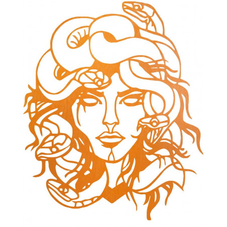 The image on the wall msdúza woman - MEDUSA GORGONA