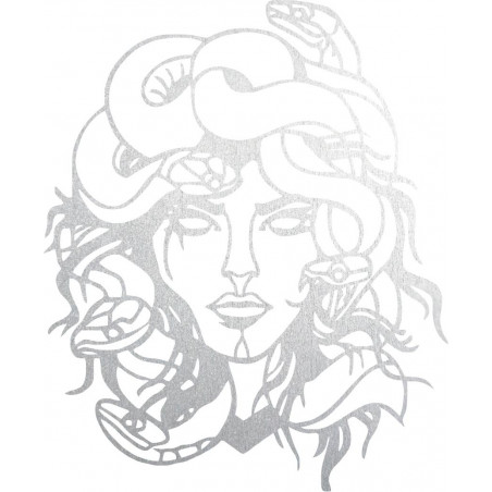 The image on the wall msdúza woman - MEDUSA GORGONA