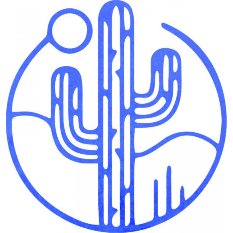 Wooden wall picture of a cactus with the sun -...