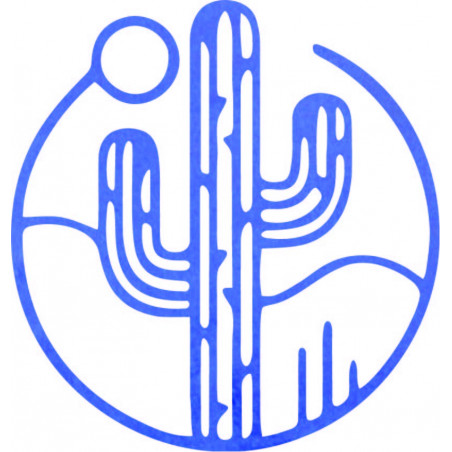 Wooden wall picture of a cactus with the sun - MONK