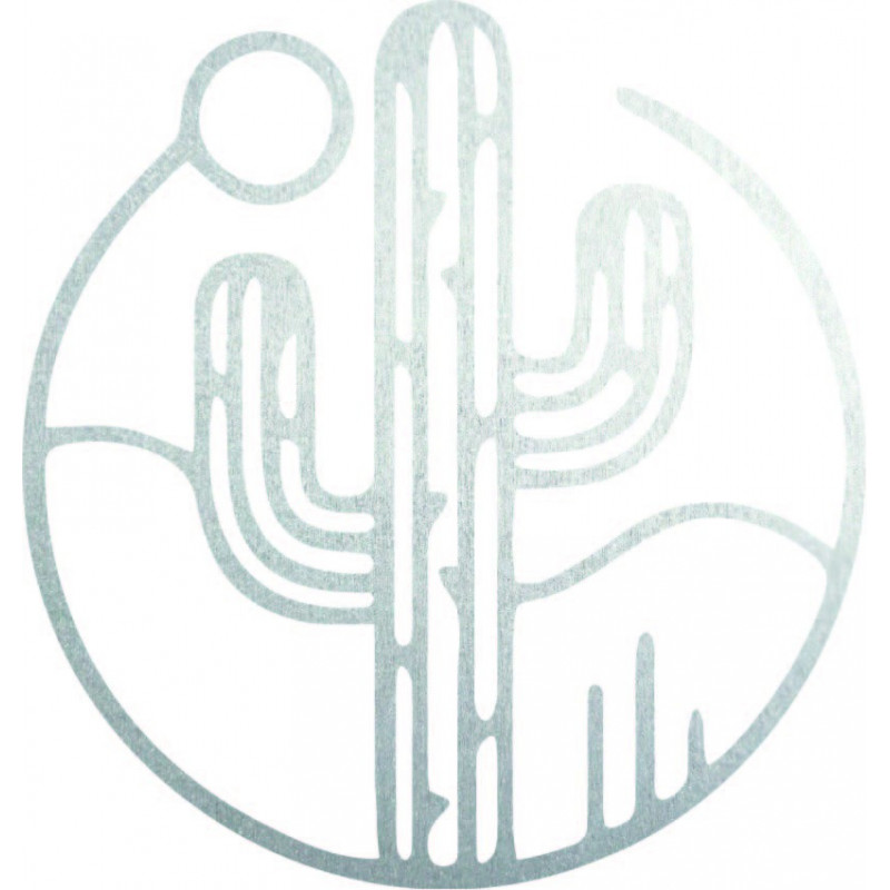 Wooden wall picture of a cactus with the sun -...