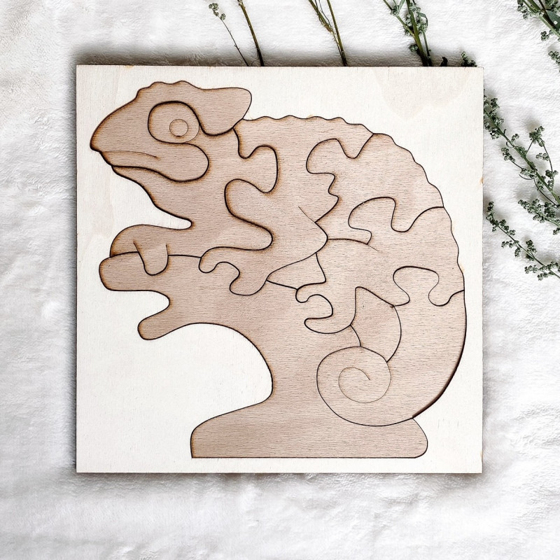 Bicolor wooden montessori insert for children -...