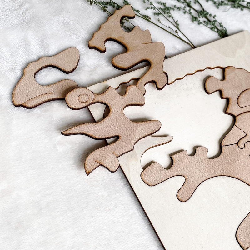 Bicolor wooden montessori insert for children -...