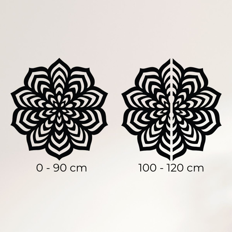 A preview used to provide information about the size and visual characteristics of the product.