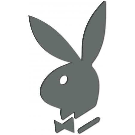 Decorative mirrors. Mirror stickers for the wall, as a picture or decoration, 3D acrylic sticker