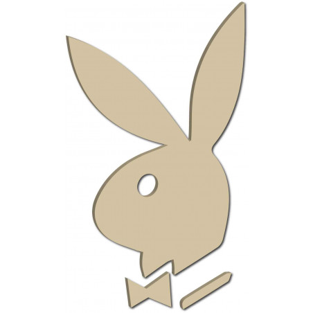 Decorative mirrors. Mirror stickers for the wall, as a picture or decoration, 3D acrylic sticker