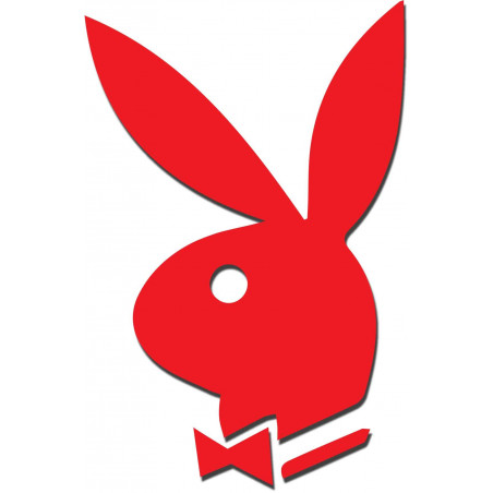 Decorative mirrors. Mirror stickers for the wall, as a picture or decoration, 3D acrylic sticker