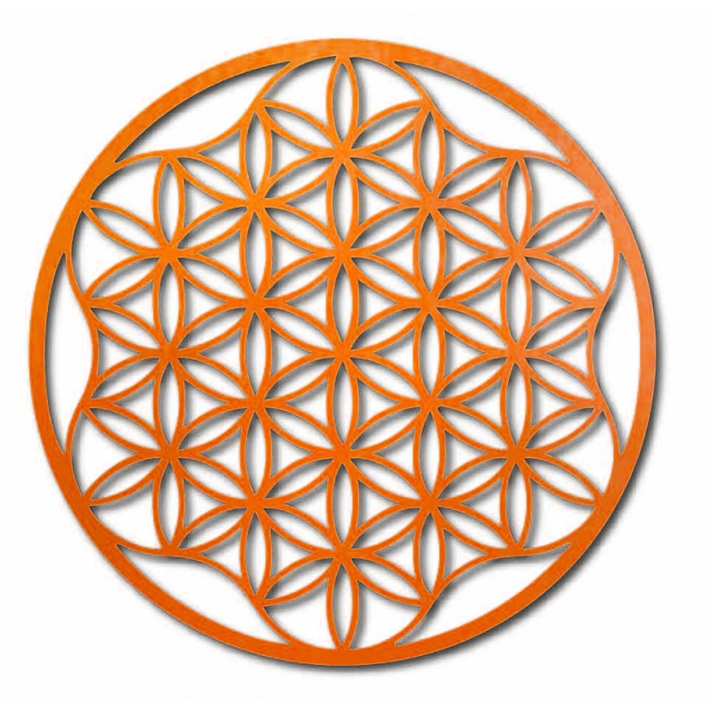 An image of a mandala on a plywood wall up to...