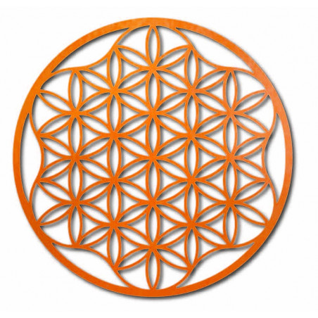 An image of a mandala on a plywood wall up to 120 cm