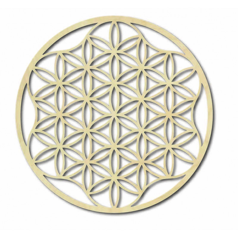 An image of a mandala on a plywood wall up to...