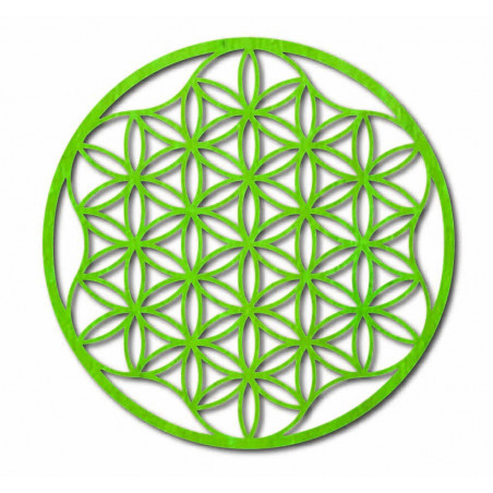 An image of a mandala on a plywood wall up to 120 cm